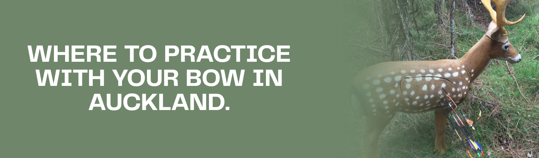 Where to practice with your bow in Auckland.