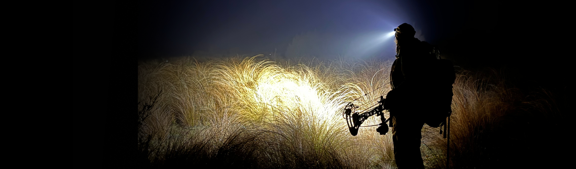 Find the Right Fenix Headlamp for Your Outdoor Adventures