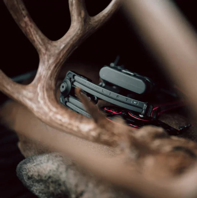 Mathews 2025 LIFTX™ 29.5