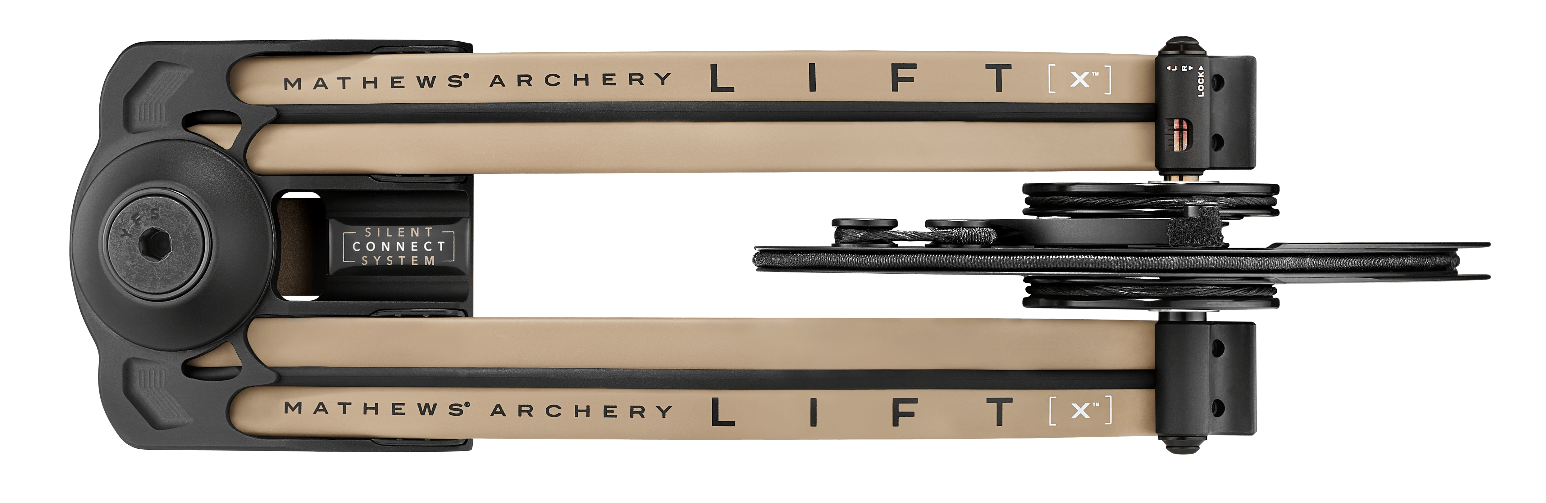Mathews 2025 LIFTX™ 29.5