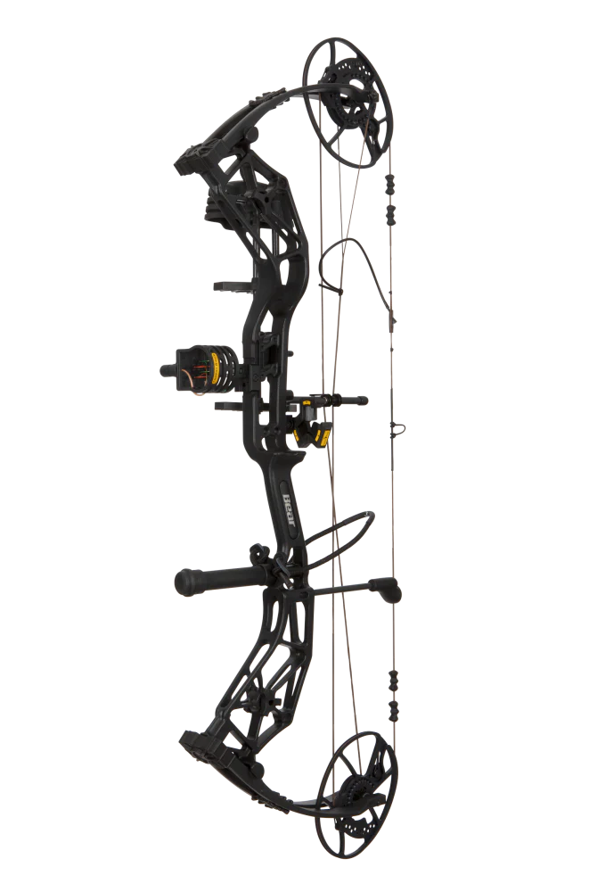 Bear Paradigm RTH Pkg