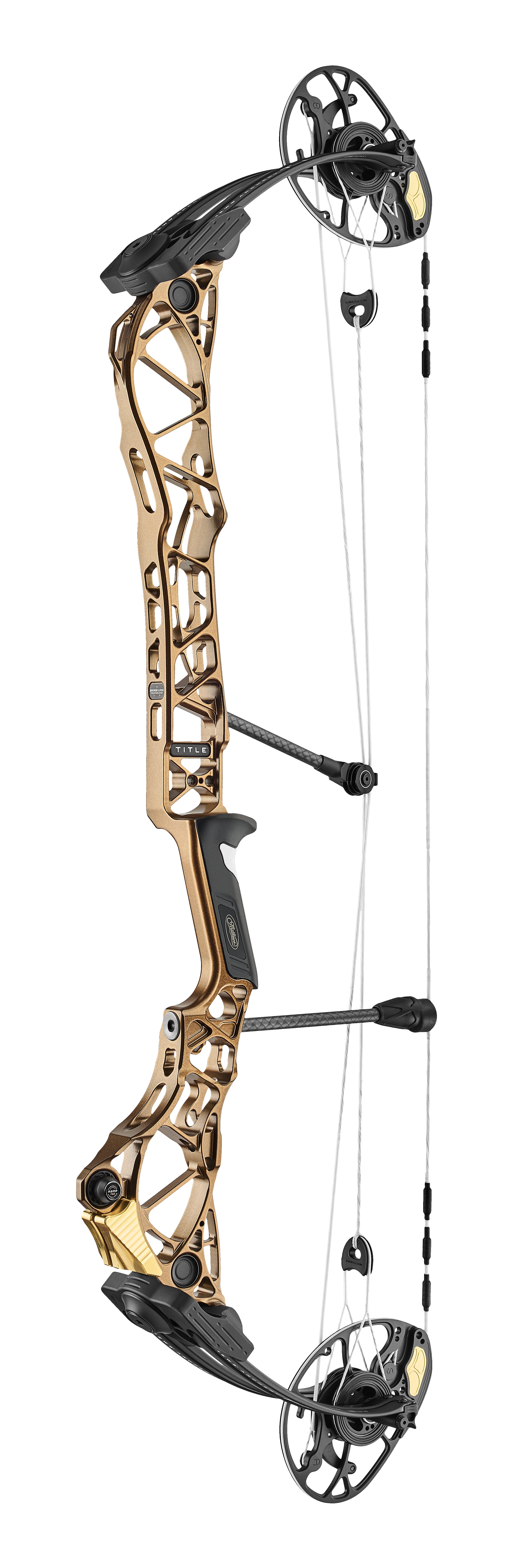 Advanced Archery