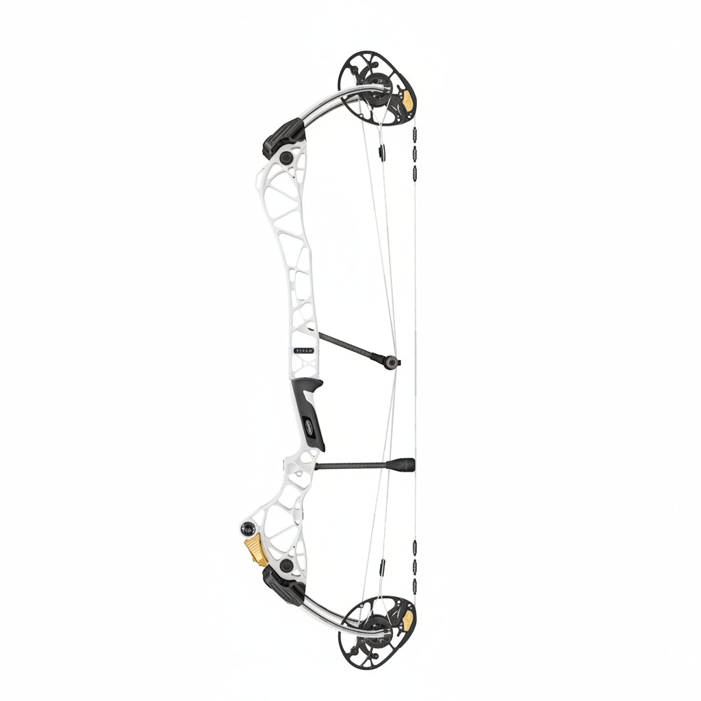 Mathews Title 34