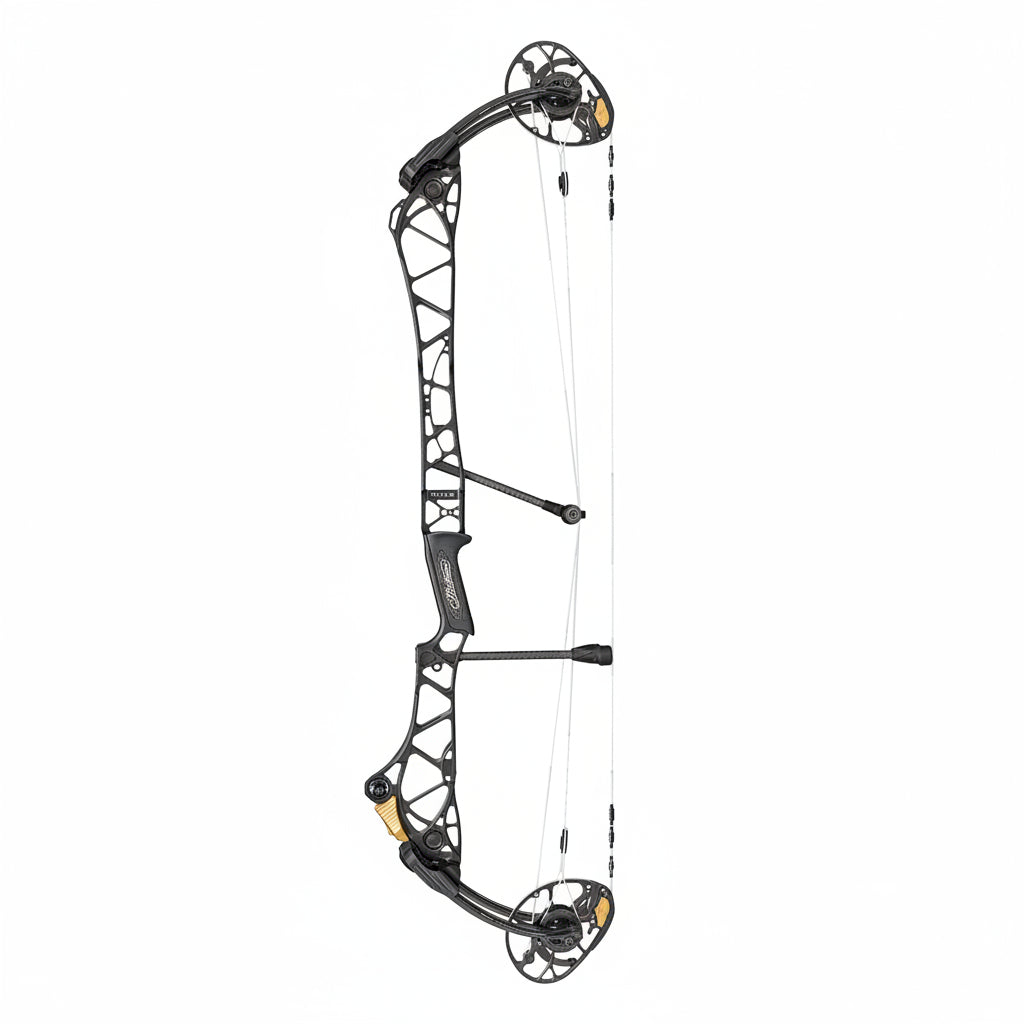 Mathews Title 38