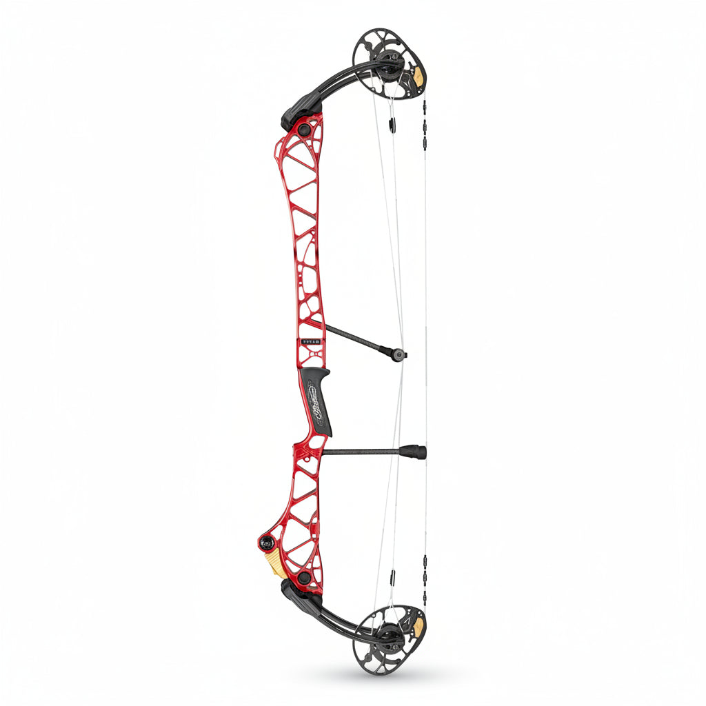 Mathews Title 38
