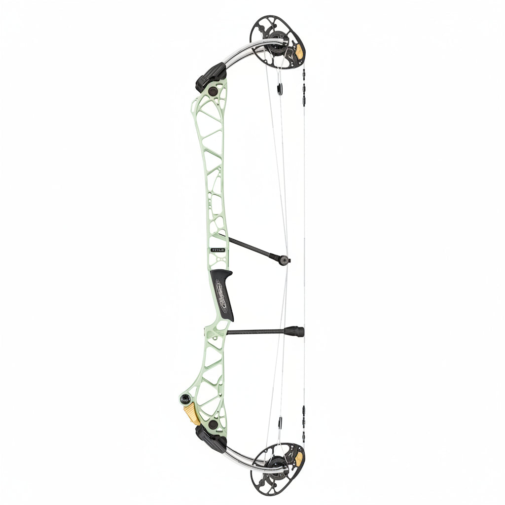 Mathews Title 38