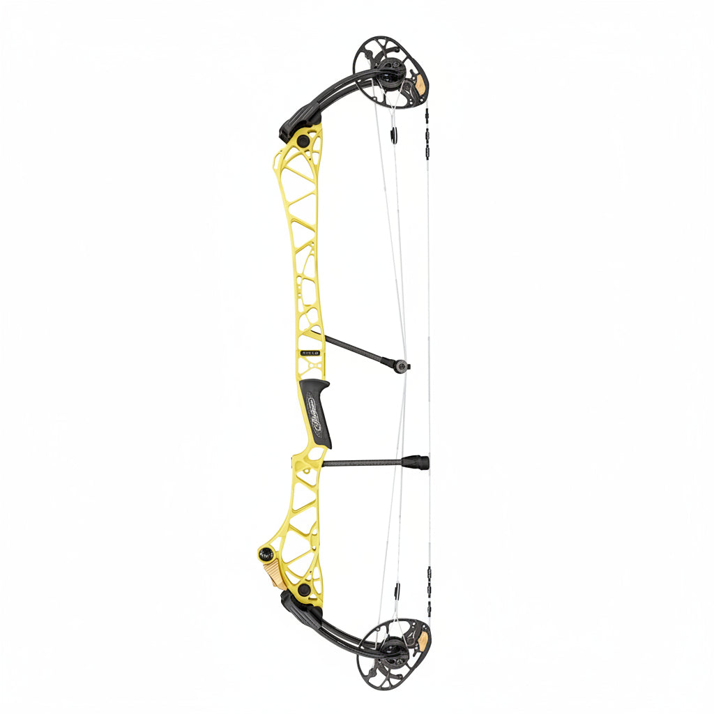 Mathews Title 38