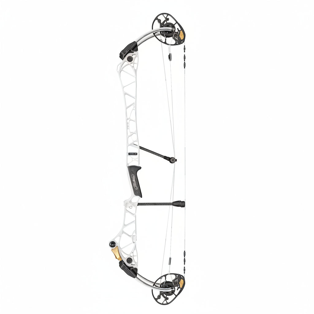 Mathews Title 38