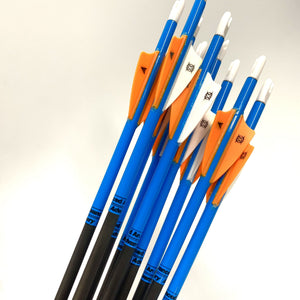 Victory VAP Junior Target Arrow - Pre Made