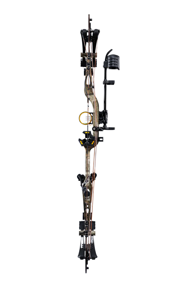 Bear Paradigm RTH Pkg