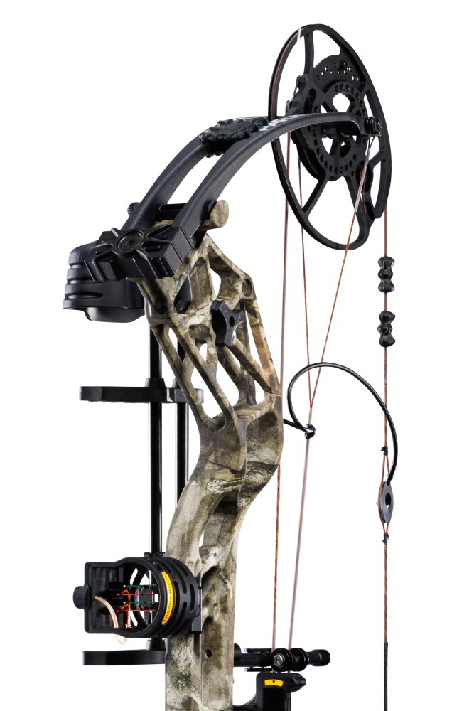 Bear Paradigm RTH Pkg