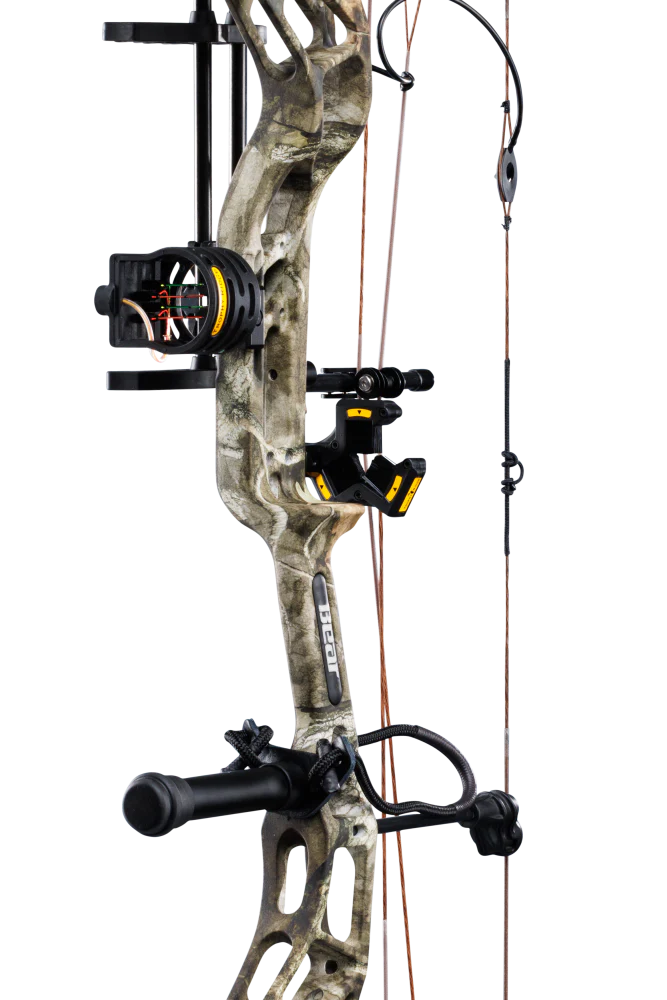 Bear Paradigm RTH Pkg