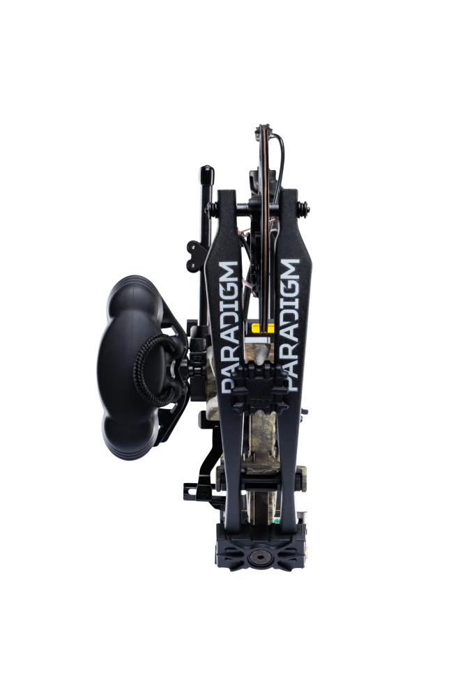 Bear Paradigm RTH Pkg