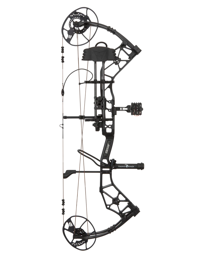 Bear Paradigm RTH Pkg