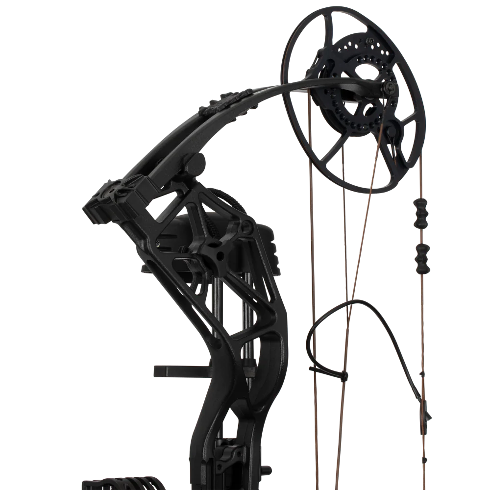 Bear Paradigm RTH Pkg