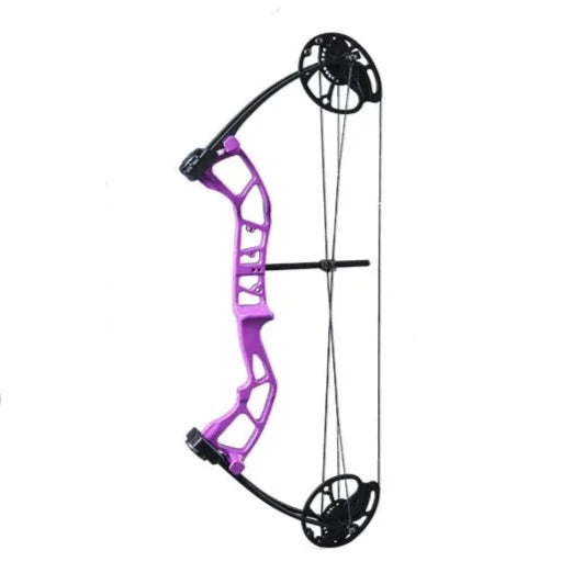 Topoint M2 Compound Bow RH only