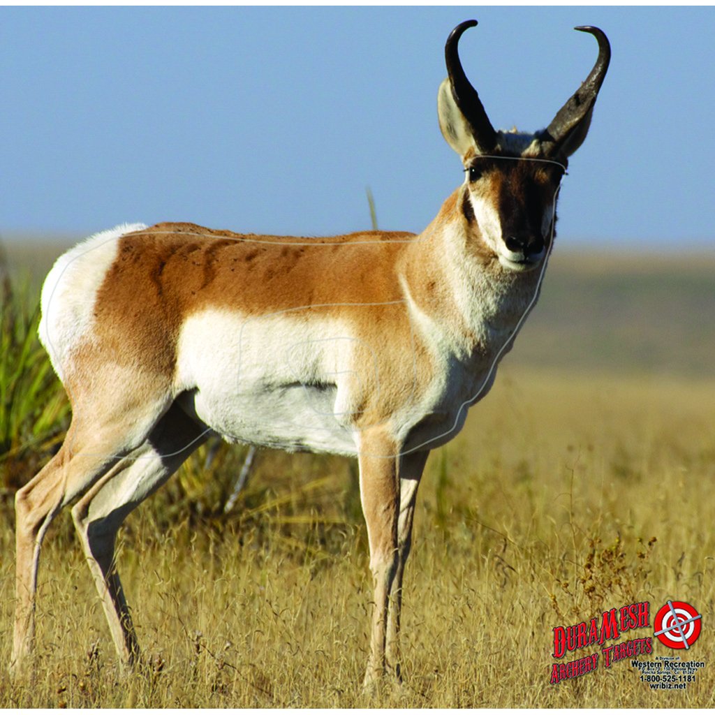 Duramesh Target Face Antelope