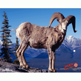 Duramesh Target Face BigHorn Sheep