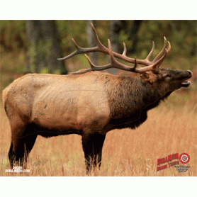 Duramesh Target Face Elk#1