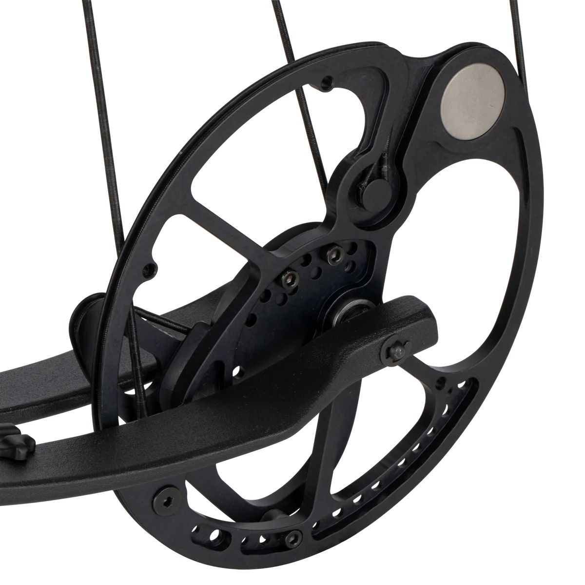 Bear Resurgence LD - Bow Only